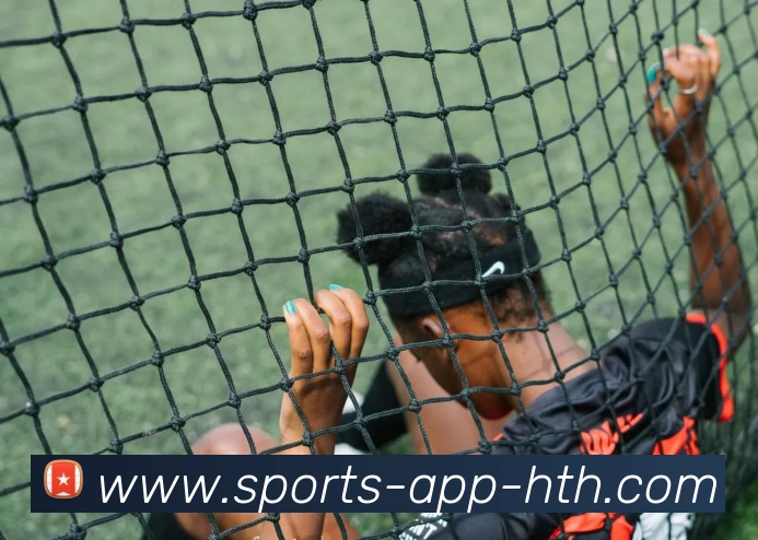 华体会平台生态图